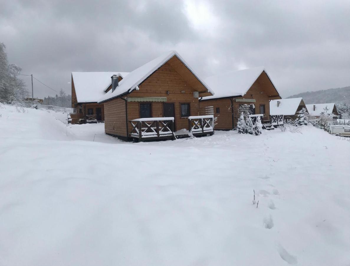 Domki Zlota Rybka Nad Jeziorem Solinskim Zawóz Buitenkant foto