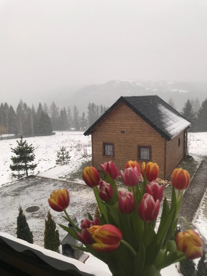 Domki Zlota Rybka Nad Jeziorem Solinskim Zawóz Buitenkant foto
