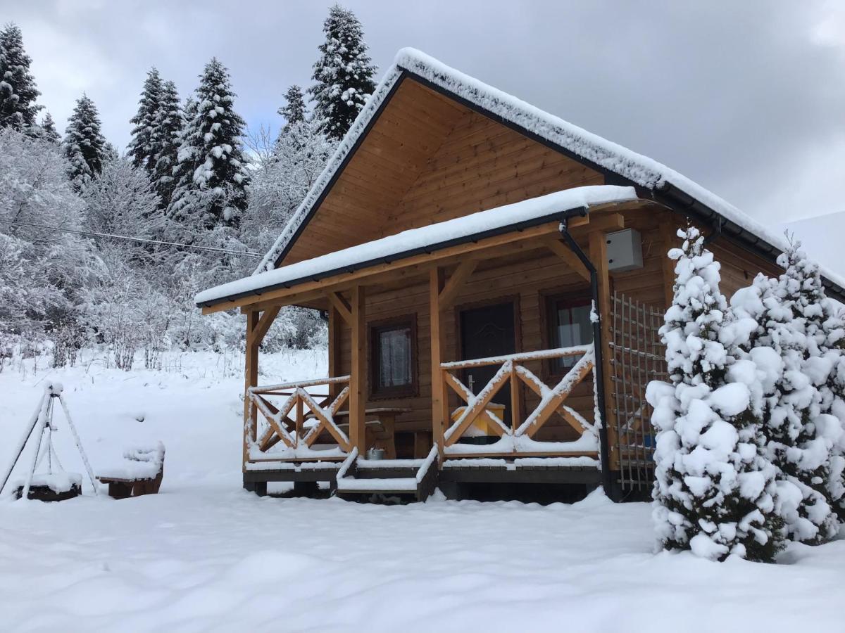 Domki Zlota Rybka Nad Jeziorem Solinskim Zawóz Buitenkant foto