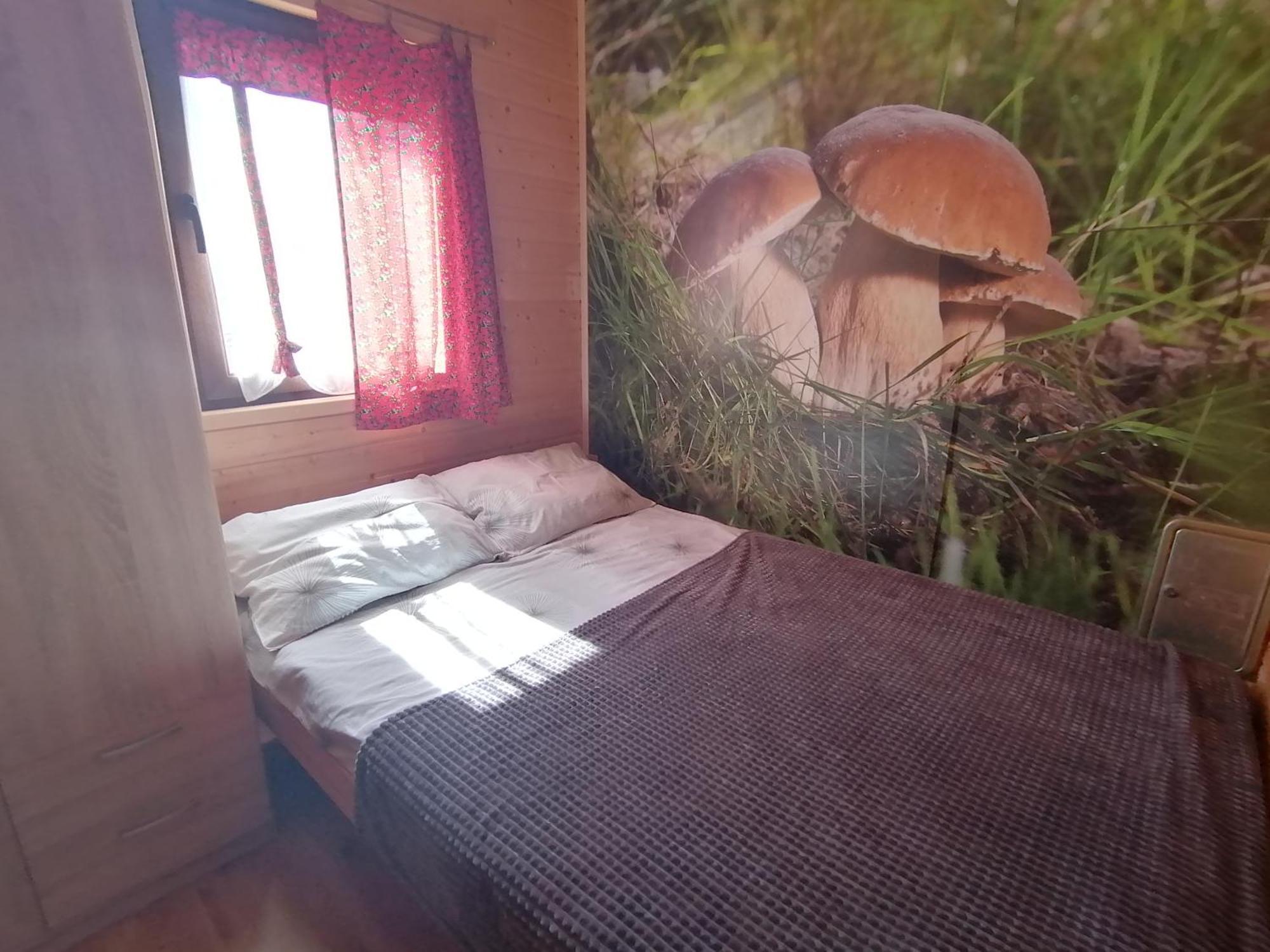 Domki Zlota Rybka Nad Jeziorem Solinskim Zawóz Buitenkant foto