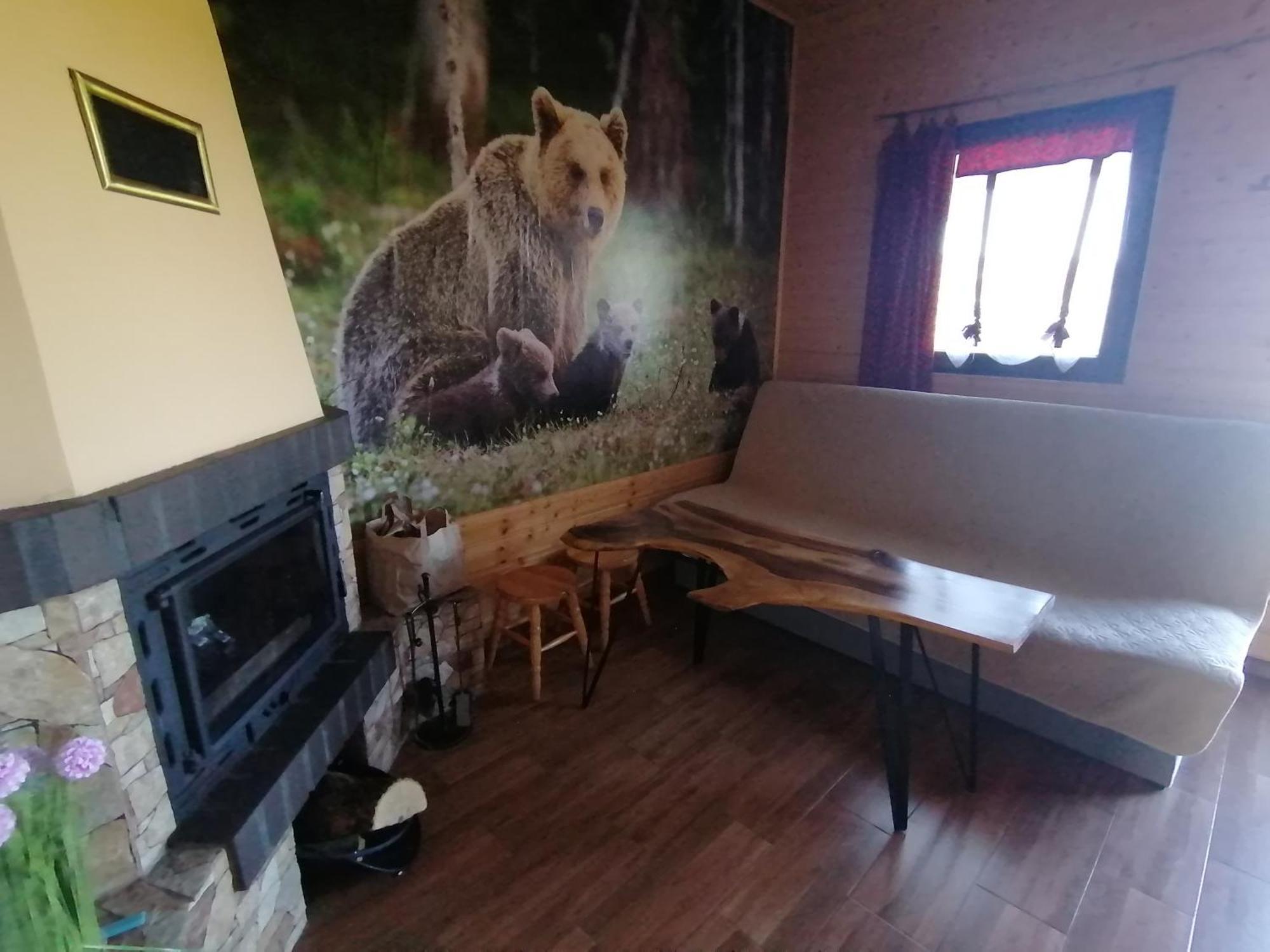 Domki Zlota Rybka Nad Jeziorem Solinskim Zawóz Buitenkant foto