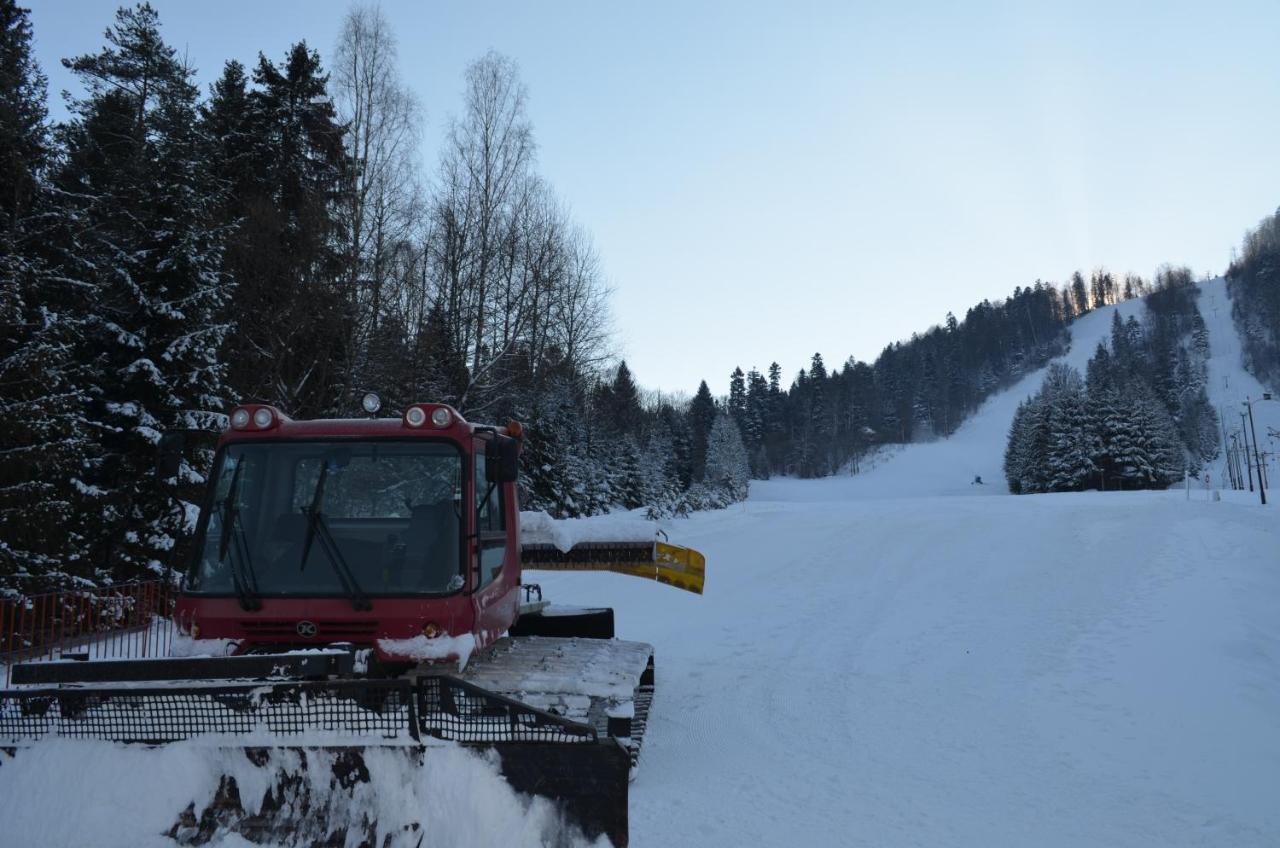 Domki Zlota Rybka Nad Jeziorem Solinskim Zawóz Buitenkant foto