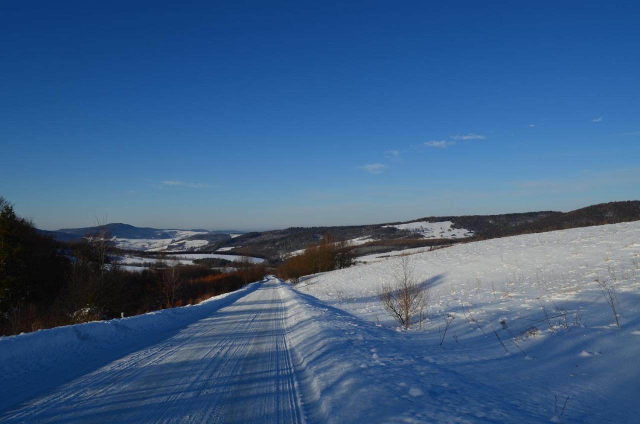 Domki Zlota Rybka Nad Jeziorem Solinskim Zawóz Buitenkant foto