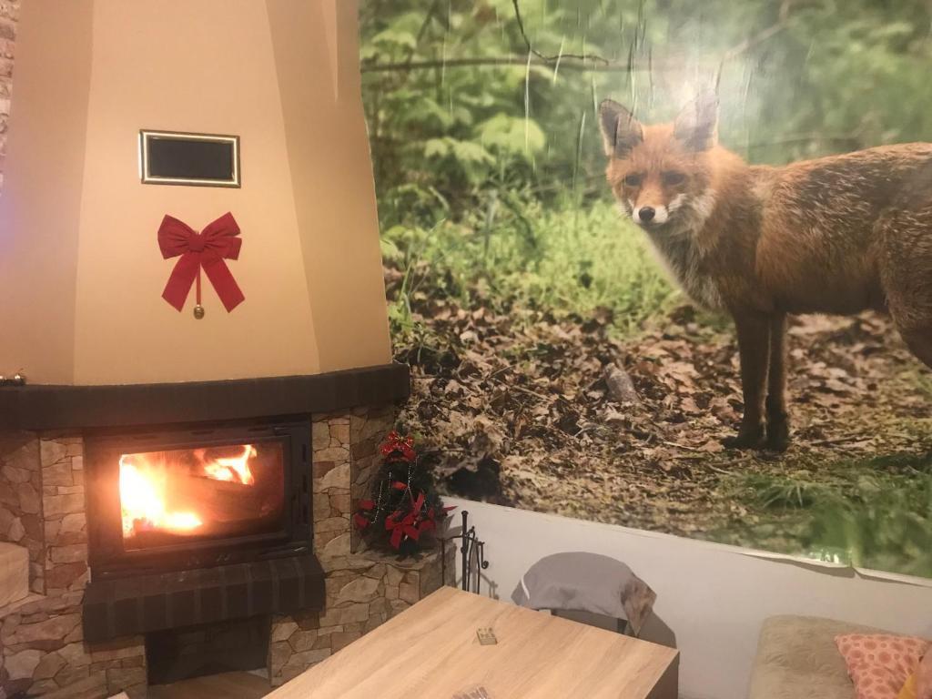 Domki Zlota Rybka Nad Jeziorem Solinskim Zawóz Buitenkant foto